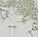 48 Silver Plated Brass Ear Studs 4mm Solid Ball Post with Loop Earring Finding Package of 24 Pair