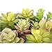 MyGift® 6 inch Realistic Artificial Faux Mixed Succulent Plants Arrangement w/White Round Ceramic Vase
