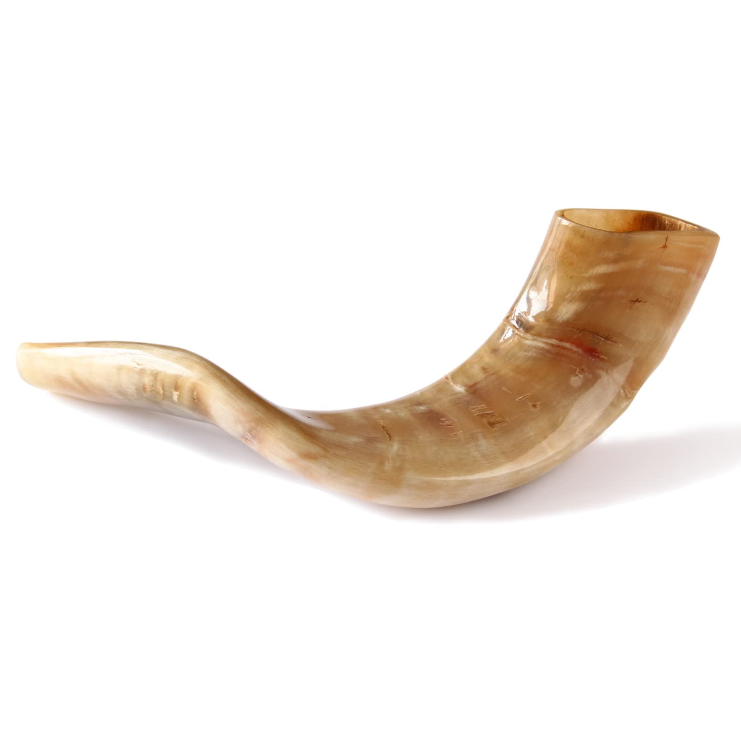 Photo 1 of Nana Gifts Authentic Ram Horn Shofar from Israel, Clear Sound, Polished, Beige, 10''-12''