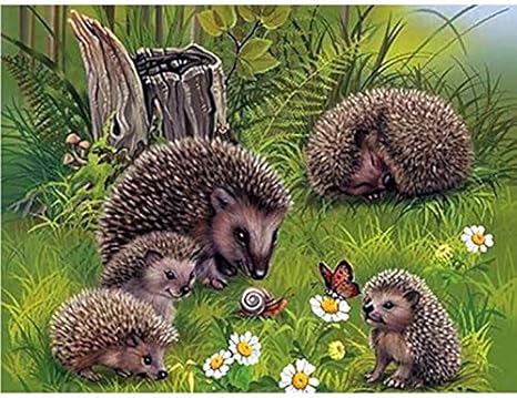 Amazon Co Jp Diy 数による絵画 ハリネズミ写真動物キットアート家の装飾完璧な手作りギフト 40 50cm ホーム キッチン
