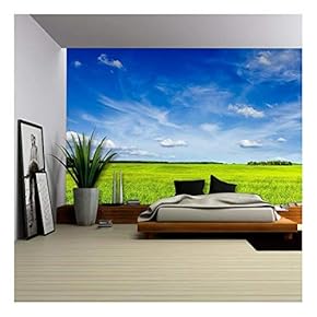 BRAND_NAMESpring Summer Background Green Grass Field Meadow Scenery...