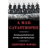 A Mad Catastrophe: The Outbreak of World War I and the Collapse of the Habsburg Empire