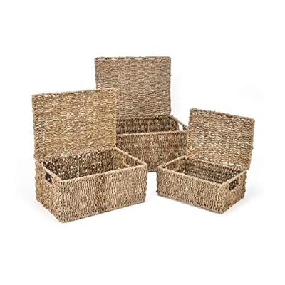 Set of 3 Rectangular Seagrass Baskets with Lids by Trademark Innovations 518viU5EzrL