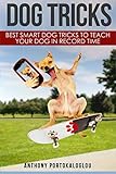 Dog Tricks: Best smart dog tricks to teach your dog in record time by Anthony Portokaloglou