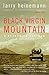 Black Virgin Mountain: A Return to Vietnam
