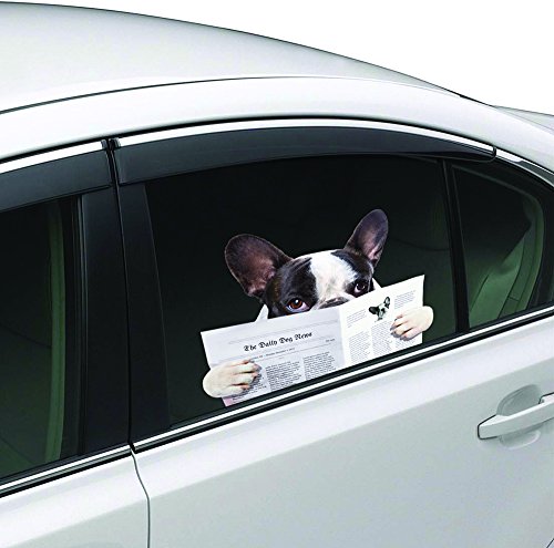 Colorbok Dog Reading Joy Riders Home DÃ©cor Accents