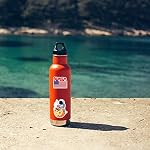 518vr1HblLL. SS150 FNGEEN-112pcs-NASA-Space-Explorer-Stickers-Pack-for-Water-Bottle-LaptopWaterproof-Vinyl-Stickers-Bomb-Space-Gifts-for-Adults-Teens-Boys-Psychedelic-Stickers-for-Skateboard-Decals