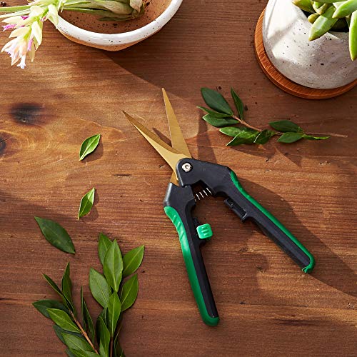 Shear Perfection Gold Titanium Trimming Shears, 2" Straight Blades Pricepulse