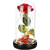 Beauty and The Beast Rose Birthday Gifts for Women, Valentine's Day Gifts for her, Eternal Rose Artificial Flower Light Up Rose in Glass Dome, Glass Roes Flower Gifts for Wife/Girlfriend