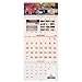 AT-A-GLANCE 3-Month Wall Calendar 2016, 14 Months, Recycled, Scenic, 12 x 27 Inches (DMW503-28)