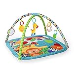 bright starts zig zag safari activity gym