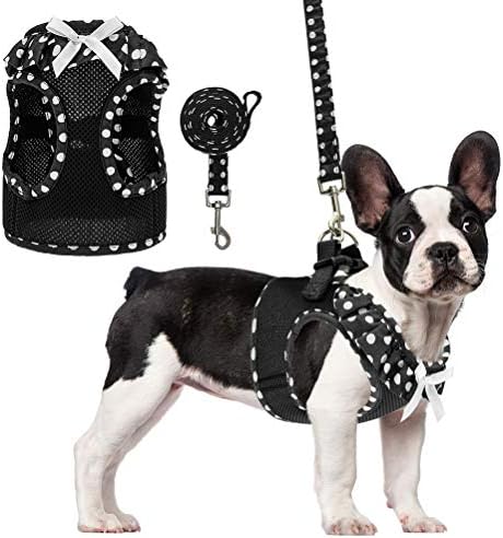 PUPTECK Cute Pink Pet Harness for Small Puppy Cats and Medium Doggies Girl Running and Training Indoor and Outdoor, with Breathable Mesh