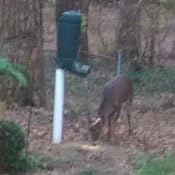 Amazon Com Rednek Redneck Outdoors T Post Gravity Feeder