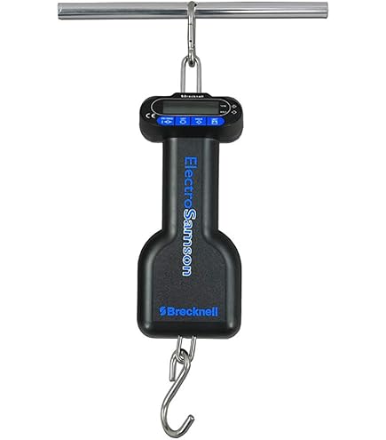 Amazon.com: Salter-Brecknell SA3N271 ElectroSamson Digital
