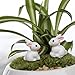 Oarkive 10pcs Dollhouse Miniature Rabbit Figurines Animals Figures Toys (10pcs)