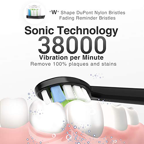 HANASCO Sonic Electric Toothbrush Rechargeable for Adults, 4 Modes with