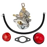 HIFROM Carburetor Carb with Mounting Gasket Fuel Line & Primer Blub for Tecumseh 640058 640058A OH195SA OHSK55 OHSK60 OHSK65 OHSK70 Snow Blower Engine