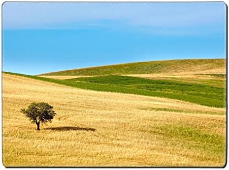 MSD Placemat IMAGE ID 19938452 Tuscany landscape with typical farm house on a hill in Val d Orcia Italy