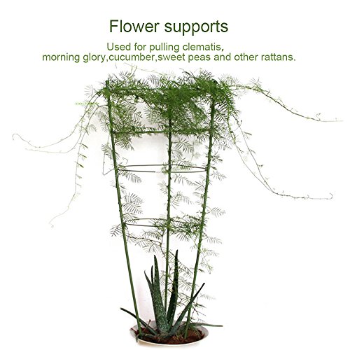 17.7" Plant Support Ring,ADSRO Adjustable Plant Grow Trellises Garden Basket Plant Fixed Climbing Gardening Plant Cage 3Pack (Green)