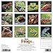 Frogs 2020 Wall Calendar