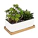 MyGift Ceramic Plant Container with Bamboo Saucer/Succulent Planter Pot, White