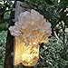 Rustic Wall Sconces - Mason Jars Sconce, 2 Set Mason Jar Lights with Fairy Lights,Vintage Wrought Iron Hooks, Silk Hydrangea Flower and LED Strip Lights Design for Home Kitchen Decoration