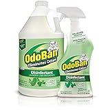 OdoBan Ready-to-Use 32 oz Spray Bottle & 1 Gal Concentrate, Eucalyptus Scent - Odor Eliminator, Disinfectant, Flood Fire Water Damage Restoration