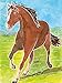 Ravensburger Aquarelle Horses Arts and Crafts Kit