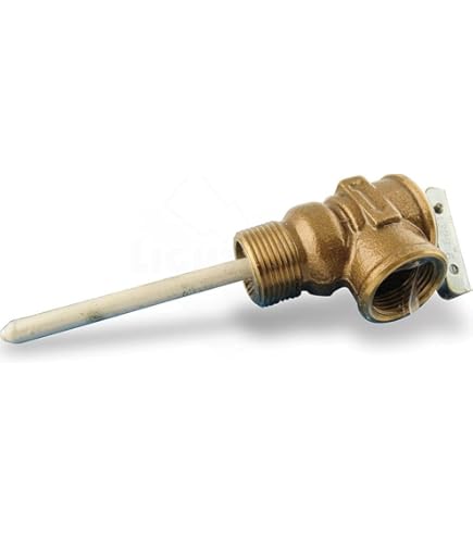 Amazon.com: Fortpro ST-3 Type Safety Valve, 150 PSI, 3/8” P.T.