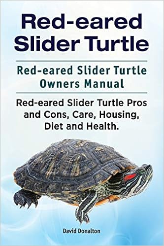 slider pet