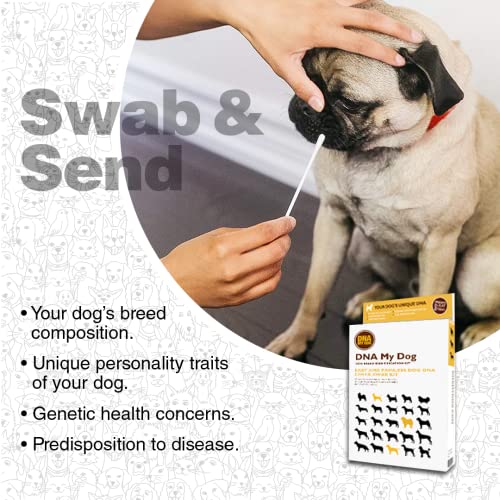 Dna My Dog Testing Kit Mixed Breed Identification, Personality Traits for Puppies to