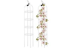 ZHUOKECE Garden Trellis for Climbing Plants, Rustproof Plant Support Trellis, Rose Bush Round Trellis for Potted Plants Climbing Vine Clematis Outdoor Indoor Garden Obelisk Trellis (White, 1Pack 6ft)