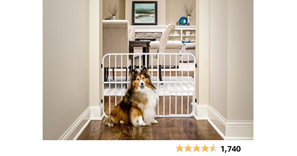 carlson expandable pet gate
