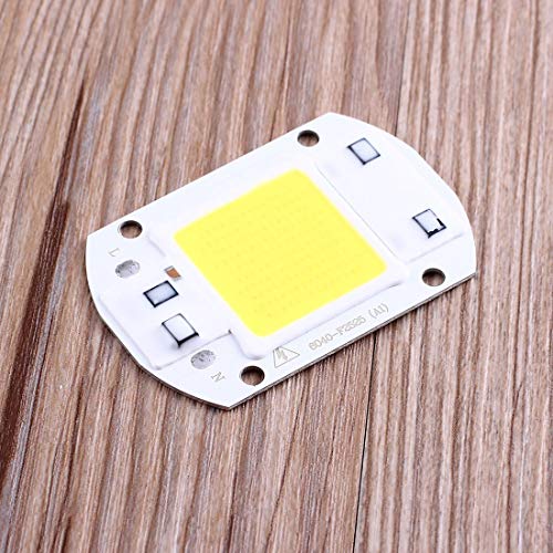 30W COB LED Chip F6040 AC110V AC220V Input IP63 Smart Integrated High Luminous LED Chip for DIY LED Floodlight - ColdWhit