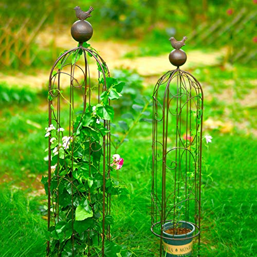 CJSWT Rankhilfe, Rankobelisk,Rankgerüst Kletterpflanzen,Garten Obelisk Metall Trellis Blumenunterstützung Für Klettern… – Bild 8