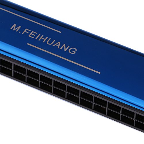 image for Jili Online Portable Professional 24 Hole Harmonica Key of C Mouth Org