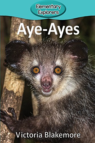 Aye-Ayes (Elementary Explorers)