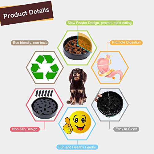 KASBAH Slow Feeder Dog Bowl, AntiGulping Maze Dog Food Bowl Bloat Stop