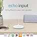 Echo Input – Bring Alexa to your own speaker- White
