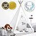 Hippococo Teepee Tent for Kids: Large Sturdy Quality 5 Poles Play House Foldable Indoor Outdoor Tipi Tents, True White Canvas, Floor Mat, Grey Moon Accessory, Family Fun Crafts eBook Included (Grey)