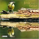 Birds in Our Garden Wall by