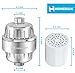 HomeRium 10-stage Shower Filter Kit(Chrome) | 3 Replacement Cartridges With Teflon Tape and 2 Seal | Water Filters for Baby | Filtered System and Remove nickel, rust, fluoride, Chlorine, Sulfur Odor