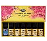 Wellness Specialized Essential Oils Gift Kit - Top