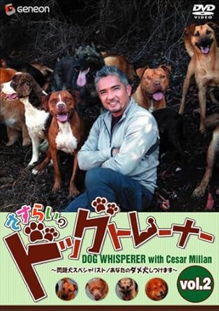 Amazon Com さすらいのドッグトレーナー Vol 2 問題犬スペシャリスト あなたのダメ犬しつけます Dvd Movies Tv