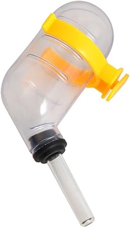 hamster water bottle pets at home