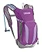 CamelBak Kid's 2016 Mini M.U.L.E. Hydration Pack, Purple Cactus Flower/Sheer Lilac