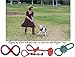 TEANDE 10 Pack Dog Toys Set by Wiggler Pets | Durable Rope Chew Squeaky Toy Value Pack for Small Puppy and Medium Doggie | Interactive Tug of War Outdoor Toys | Exercise Toys Variety Bundle for Dogs