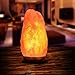 PULNDA Himalayan Salt Lamp PULNDA Glow Natural Hand Carved Rock Salt Lamp with Neem Wood Base/Bulb and Dimmer Control, Crystal, Amber, 8-9-Inch for Lighting, Decoration and Air Purifying