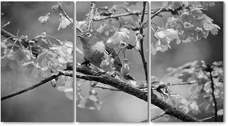 Amazon Co Jp 40x50cm X3枚 黒と白 パネル アートパネル 現代壁の絵 壁掛け 桜の木の鳥 部屋飾り背景絵画 キャンバス写真 壁アートしゃしん 木枠付きの完成品 装飾 軽くて取り付けやすい ホーム キッチン