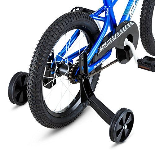 schwinn knowles reviews